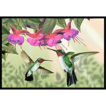 Jensendistributionservices Fuchsia And Hummingbirds Indoor & Outdoor Mat, 18 x 27 in. MI2556475